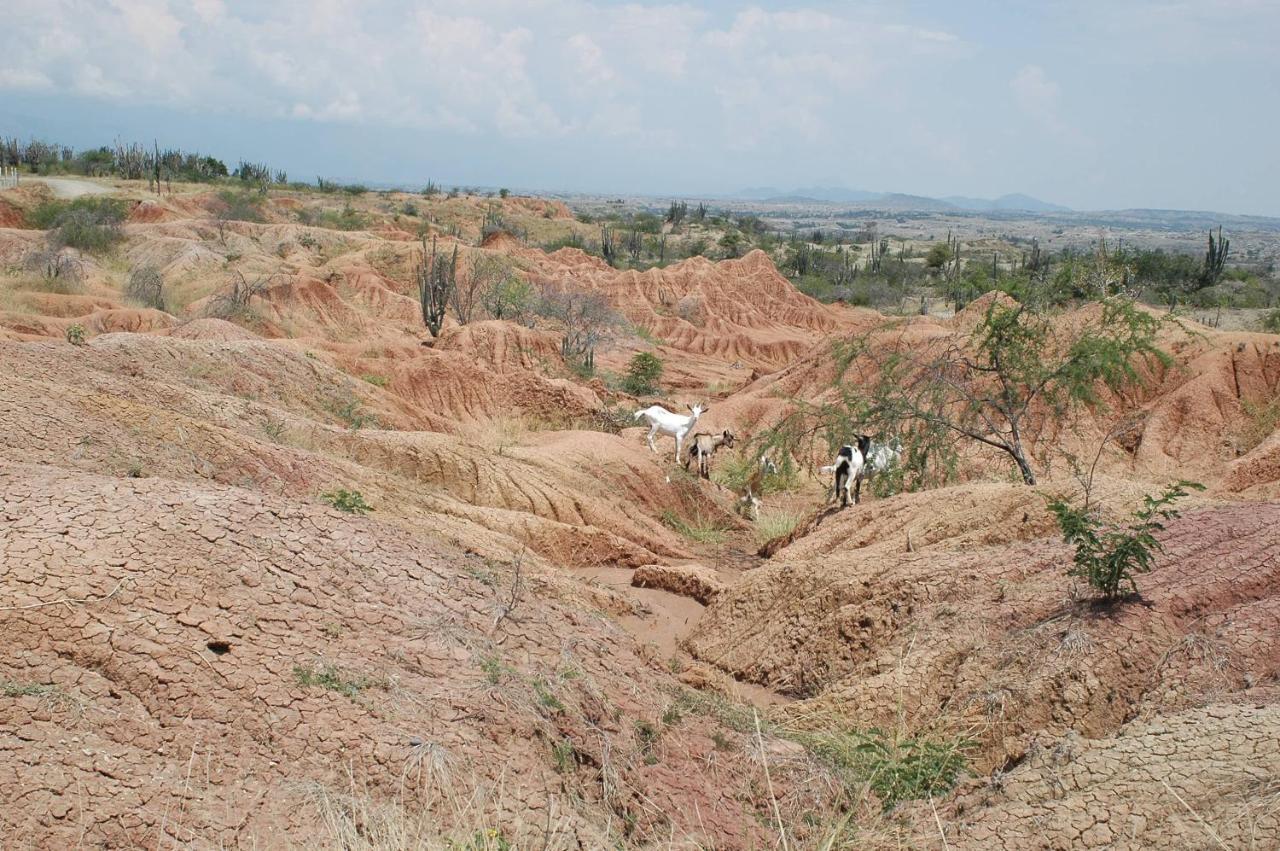 Bethel Bioluxury Tatacoa Desert Neiva  Eksteriør bilde